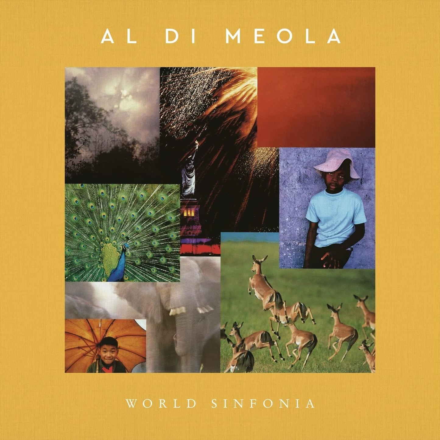 Al Di Meola - World Sinfonia 2x Vinyl LP